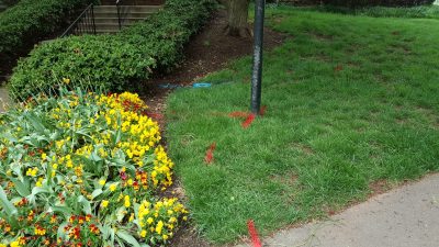 20170427_093224 marked electical line next to flower bed